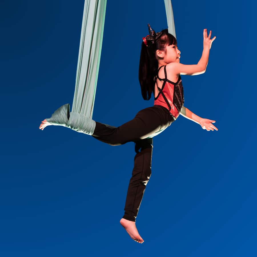 Learn more about Accommodated classes